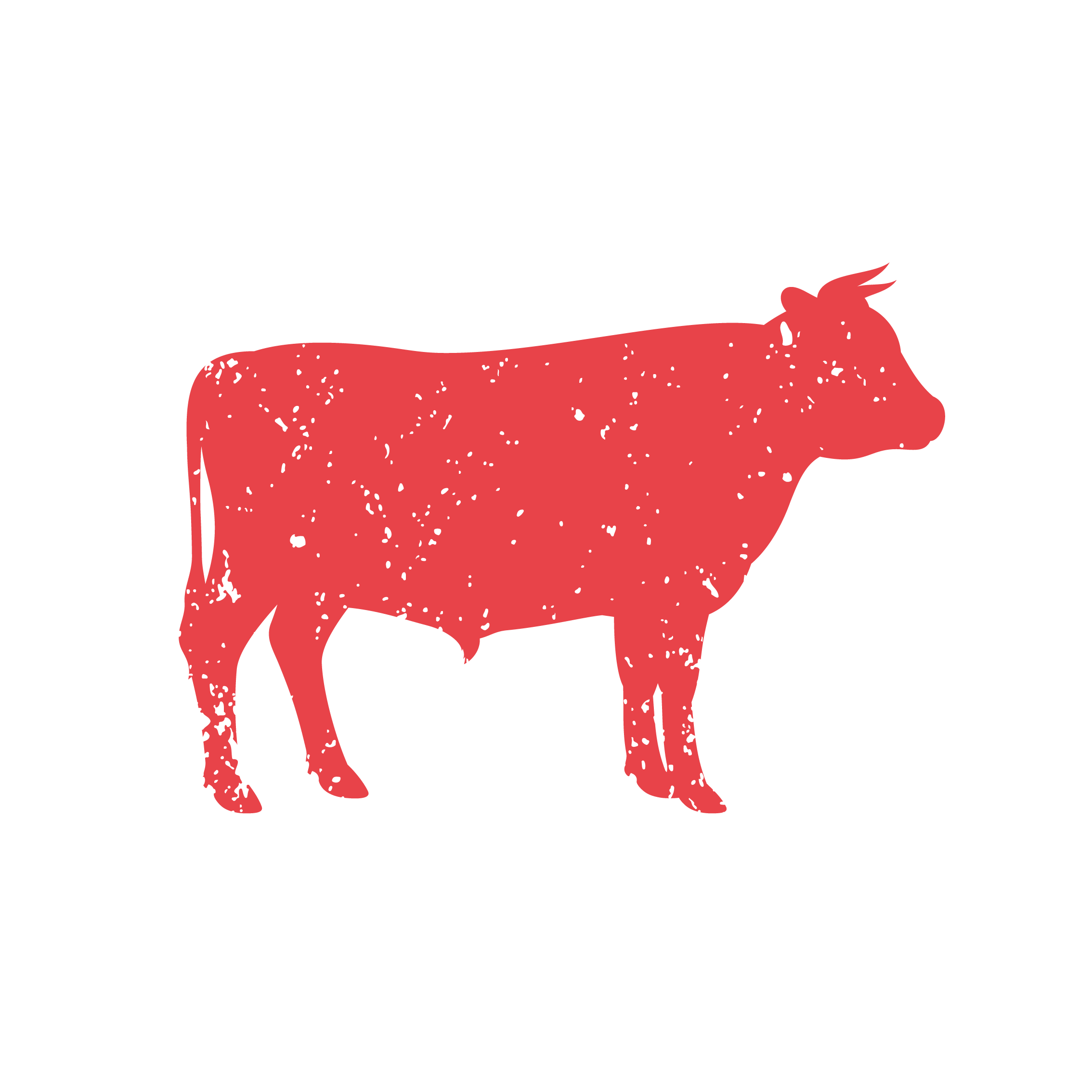 Boeuf